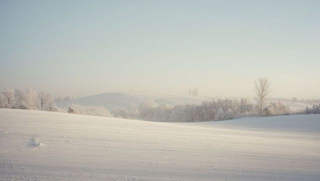 Minimal Winter Landscape Showing Snow-Covered Field and Frosted Tree Line in Pastel Light