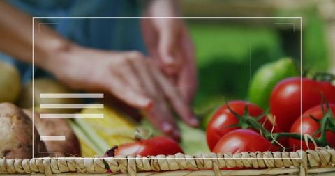 Fresh Garden Harvest with Cut Vegetables and Ripe Tomatoes