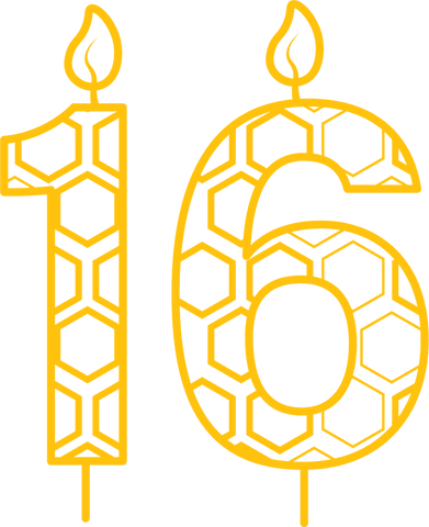transparent illustration of 16 birthday candle with honeycomb design - Download Free Stock Videos Pikwizard.com