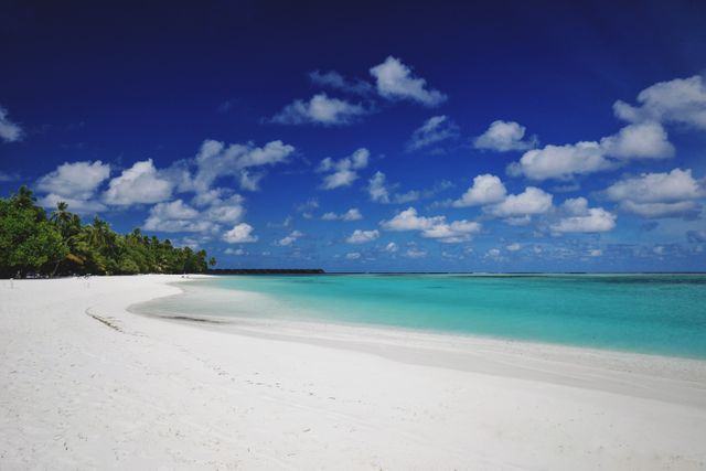 Tropical Island with Clear Blue Ocean and White Sand Beach - Download Free Stock Photos Pikwizard.com