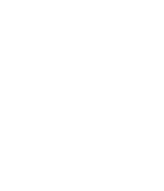 Boxer Silhouette in Sporty Stance on Transparent Background - Download Free Stock Videos Pikwizard.com