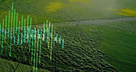 Precision farming and data analytics in aerial farmland view