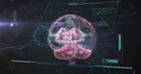 Futuristic Holographic Brain in Digital Interface