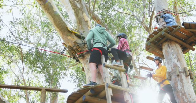 People Participating in Outdoor Adventure Course in Forest - Download Free Stock Images Pikwizard.com