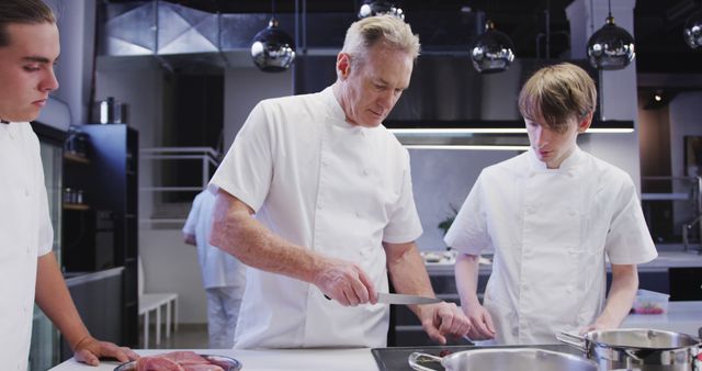 Senior Chef Teaching Culinary Students in Modern Kitchen - Download Free Stock Images Pikwizard.com