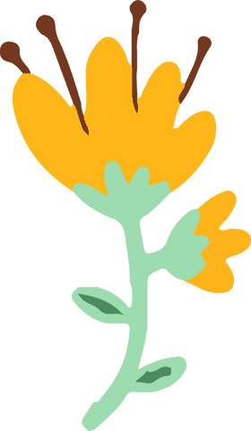 Stylized Yellow Flower Illustration with Transparent Background