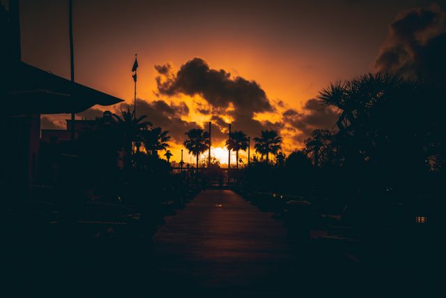 Beautiful evening sunset with stunning orange sky over silhouettes of palm trees and distant clouds creates a tranquil and peaceful atmosphere. Perfect for travel promos, vacation advertising, relaxation concepts, and nature beauty features.