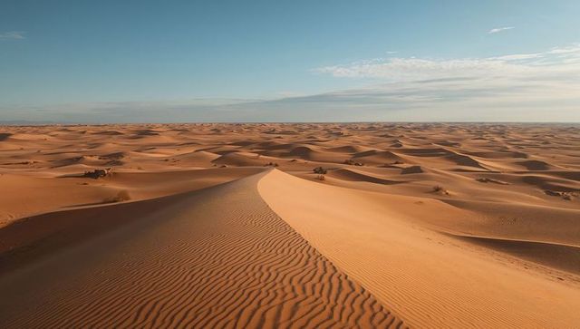 Sunlit rippled dune ridge stretching across vast arid desert landscape casting long shadows