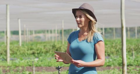 Woman Using Tablet in Modern Organic Farm Greenhouse