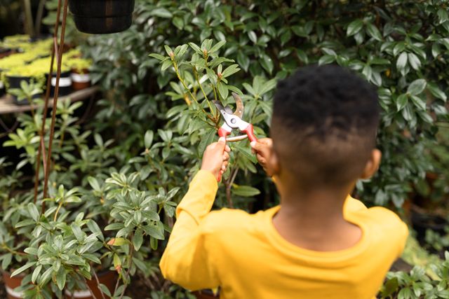 Young African American boy using pruning shears to cut plants in a garden nursery. Ideal for illustrating concepts of childhood activities, gardening, nature, and spending quality time outdoors. Suitable for educational materials, gardening blogs, and family lifestyle content.