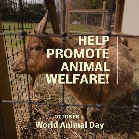 promoting animal welfare on world animal day with goat - Download Free Stock Templates Pikwizard.com