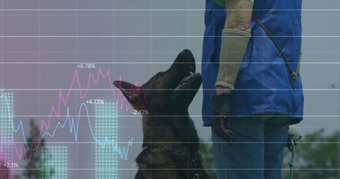 Dog obedience training with german shepherd and trainer overlaid with graph