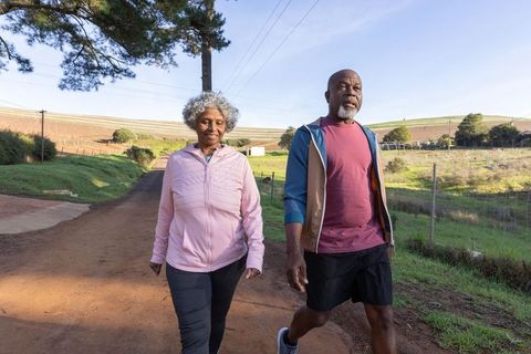 Senior African American Couple Enjoying Countryside Walk