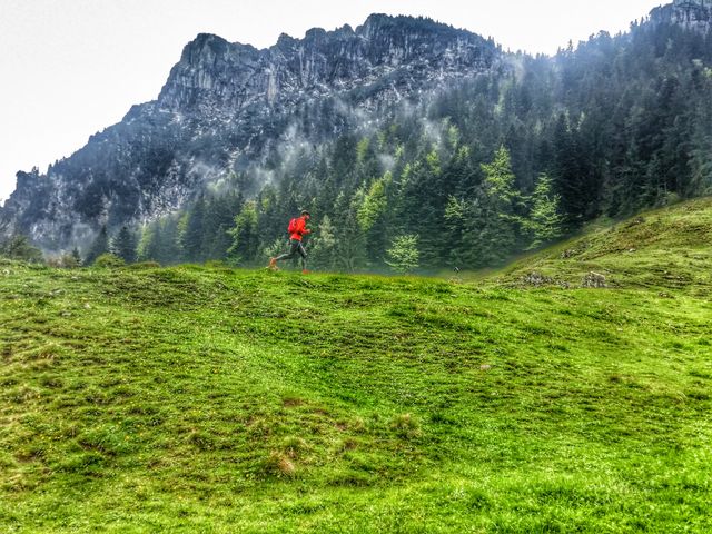 Hiker ascends lush green hill with misty forest and towering mountains in background, capturing essence of outdoor adventure. Ideal for promoting hiking tourism, fitness, and eco-friendly travel.