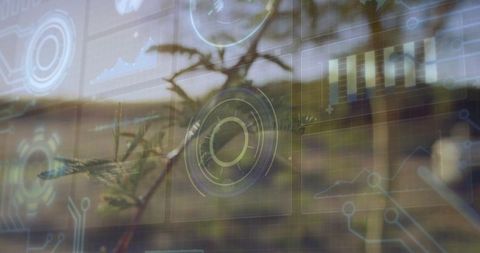 Conifer Branch with Futuristic Interface and Data Overlays