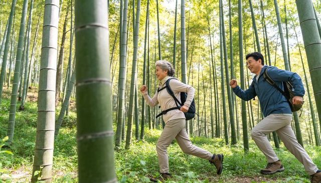 Active senior couple hiking through sunlit bamboo forest walking briskly with backpacks