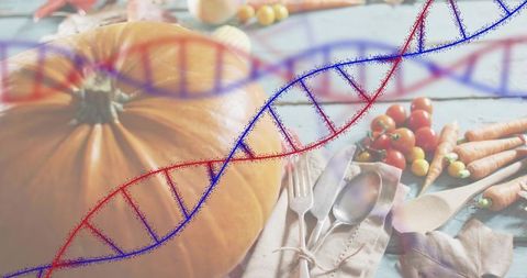 Rustic Pumpkin Harvest with DNA Helix Overlay Representing Food Genetics and Nutrition