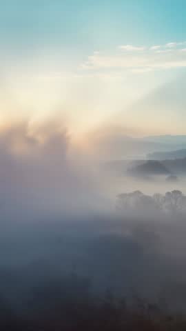 Sun Rays Intensifying as Fog Banks Thin, Revealing Trees Over Misty Valley — Vertical Aerial Dawn