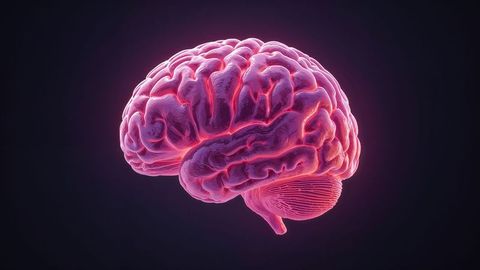 3D Neon Brain Model Glowing in Dark Digital Environment