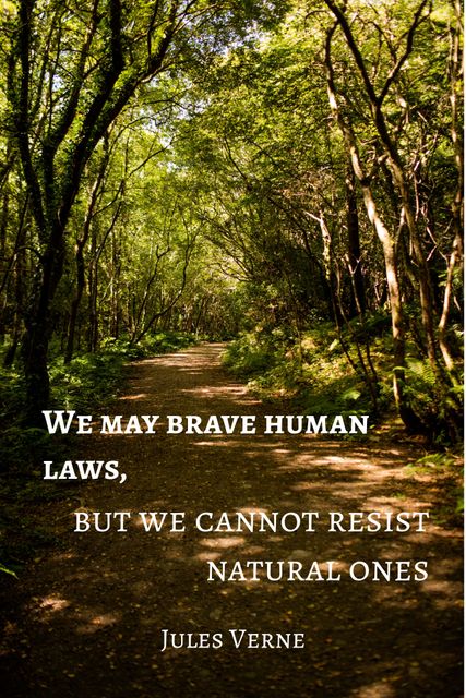 Inspirational Quote by Jules Verne over Forest Path under Green Canopy - Download Free Stock Templates Pikwizard.com