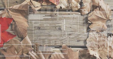 Autumn UI Overlay on Rustic Wood Plank with Dried Leaves and Futuristic Dashboard