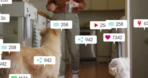 Holding canned drink and interacting with two dogs in cozy kitchen with social media notifications