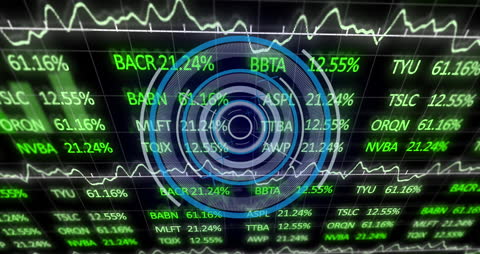 Dynamic Financial Stock Market Data Interface