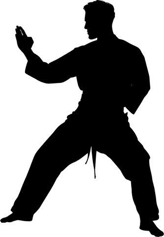 Transparent karate silhouette of male fighter practicing kick