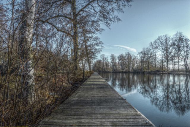 This serene scene features a wooden pier extending over a calm lake, surrounded by bare trees and reflected in the still water. Ideal for use in projects related to nature, tranquility, outdoor activities, or scenic travel destinations. Perfect for backgrounds, marketing materials, or relaxation themes showcasing the quiet beauty of untouched natural landscapes.