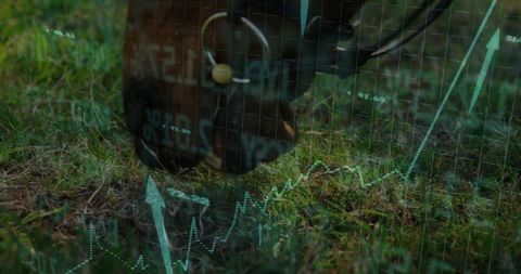 Metal detecting in field with digital data overlay