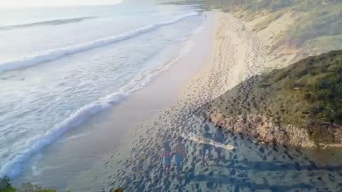 Peaceful Tropical Beach with Waves Lapping Shoreline