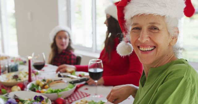 Family Enjoying Christmas Meal Together with Santa Hats - Download Free Stock Images Pikwizard.com