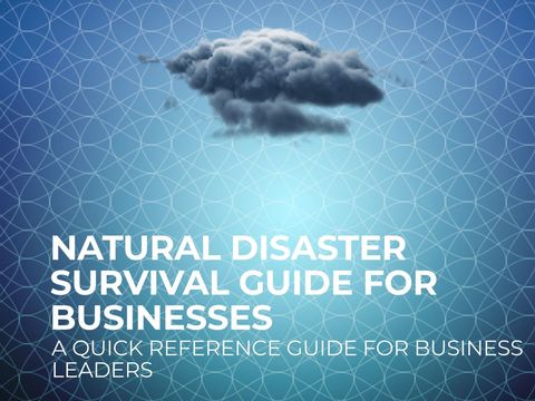 Natural Disaster Survival Guide for Business Leaders - Download Free Stock Templates Pikwizard.com