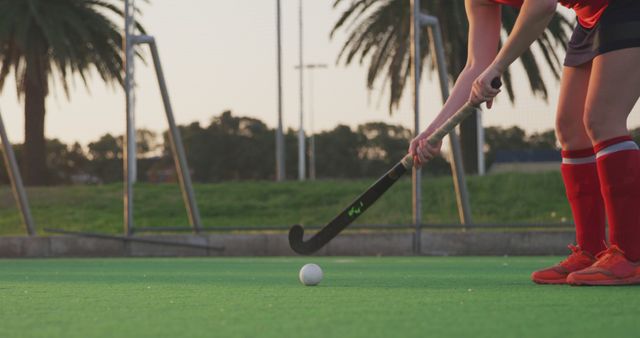 Female Field Hockey Player Ready to Hit Ball on Turf - Download Free Stock Images Pikwizard.com