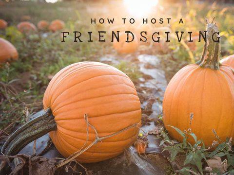 Autumn harvest pumpkins perfect for friendsgiving