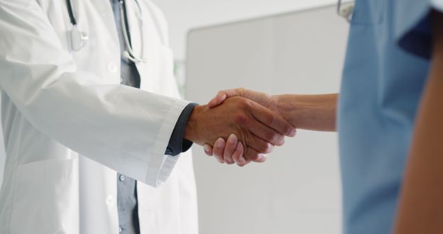 Healthcare Professionals Shaking Hands in Medical Office - Download Free Stock Images Pikwizard.com