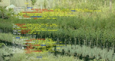 Seedlings Growing in Nursery with Code Overlay Representing Agtech Innovation