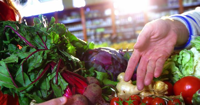 Customers Selecting Fresh Organic Vegetables at Grocery Store - Download Free Stock Images Pikwizard.com