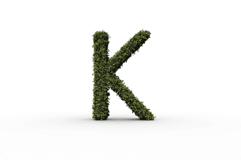 Transparent Grass Textured Letter K Nature Design - Download Free Stock Videos Pikwizard.com