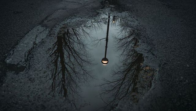 Puddle reflecting lit streetlamp and bare tree branches on wet asphalt at moody dusk