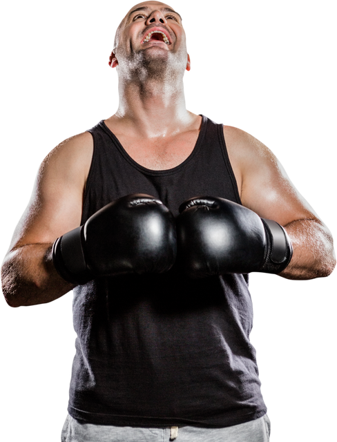 Transparent Boxing Enthusiast Laughing With Gloves On - Download Free Stock Videos Pikwizard.com