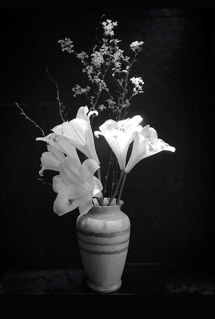 Black and white photo of floral arrangement featuring lilies in a ceramic vase. Perfect for home decor inspiration, minimalist design projects, and creating a classic, elegant atmosphere. Ideal for blogs, social media posts, and websites focusing on interior design or sophisticated aesthetics.