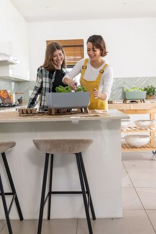 Urban kitchen gardening friends potting seedlings on island with gray planter