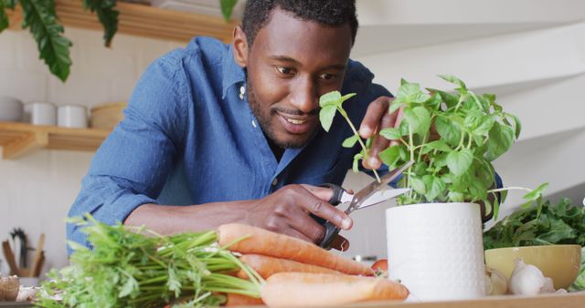 Man Harvesting Herbs from Indoor Garden in Kitchen - Download Free Stock Images Pikwizard.com