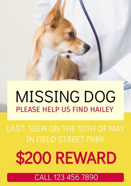 This image features a missing dog poster with a reward offer displayed on a yellow background. Ideal for use by pet owners, animal shelters, and community boards to spread awareness about a lost pet and solicit help from the community. The prominence of the reward and contact information encourages immediate response.