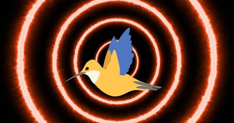 Colorful Bird Flying Through Neon Circles Illusion - Download Free Stock Images Pikwizard.com