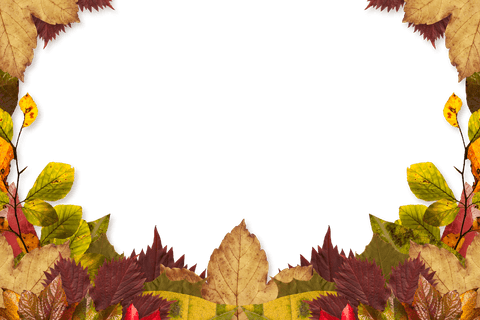 Illustration of Autumn Leaves Frame on Transparent Background - Download Free Stock Videos Pikwizard.com