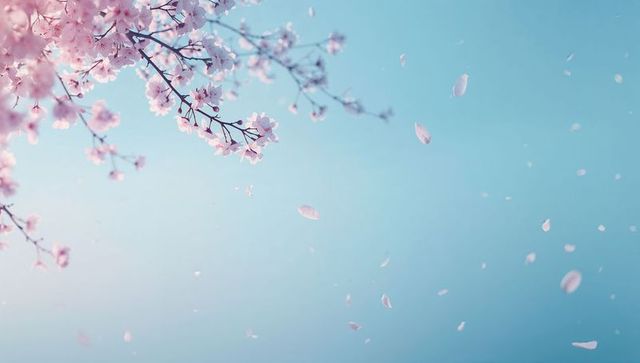 Drifting cherry blossom branch shedding pale pink petals against clear blue sky