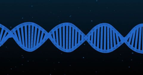Futuristic blue dna strand on black background
