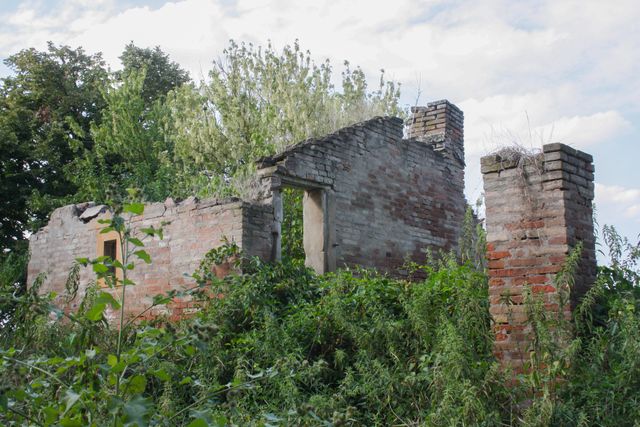 Abandoned Brick Ruins in Overgrown Forest - Download Free Stock Images Pikwizard.com